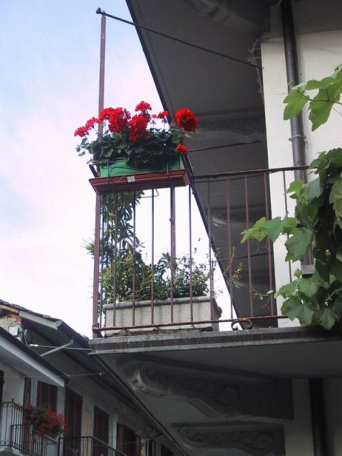 2006-09-03 08-46-29.jpg